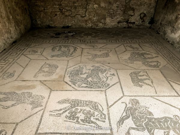 roman mosaics on the floor