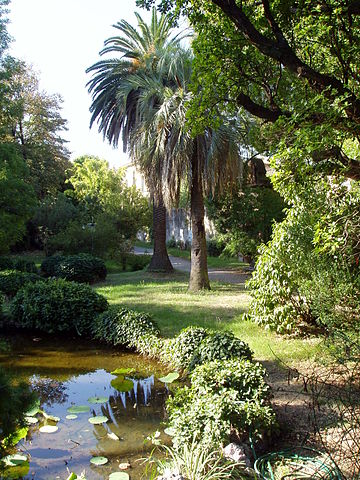 Botanical garden in Pisa was established in 1544 under Cosimo I de'Medici
