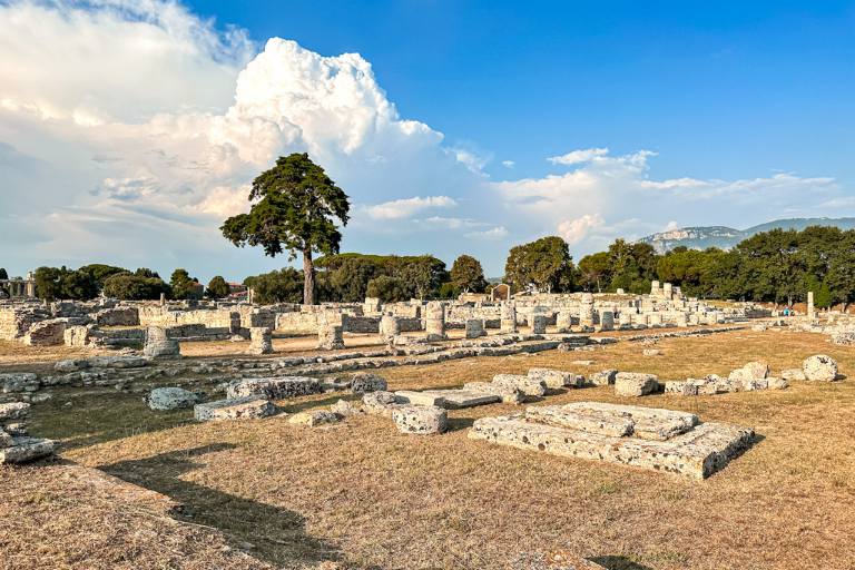 ruins in Paestum