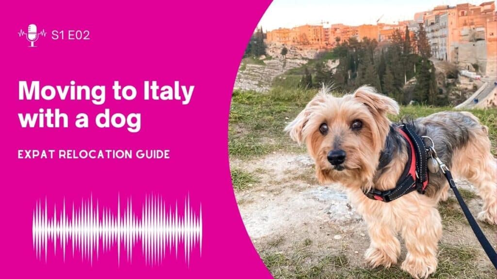 moving with a dog to italy